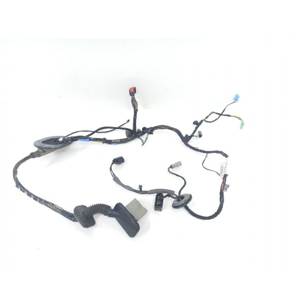 Chicote Porta Traseira Direita Land Rover Discovery 2010