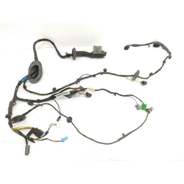 Chicote Porta Dianteira Direita Land Rover Discovery 2010