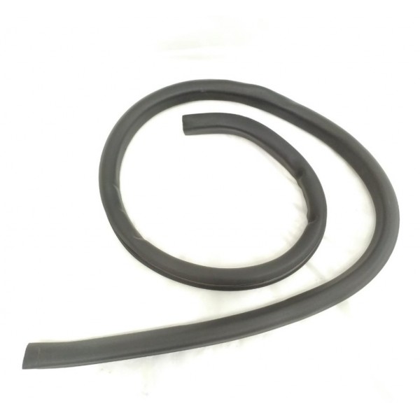 Borracha Porta Traseira Esquerda Vw Passat Cc 2014