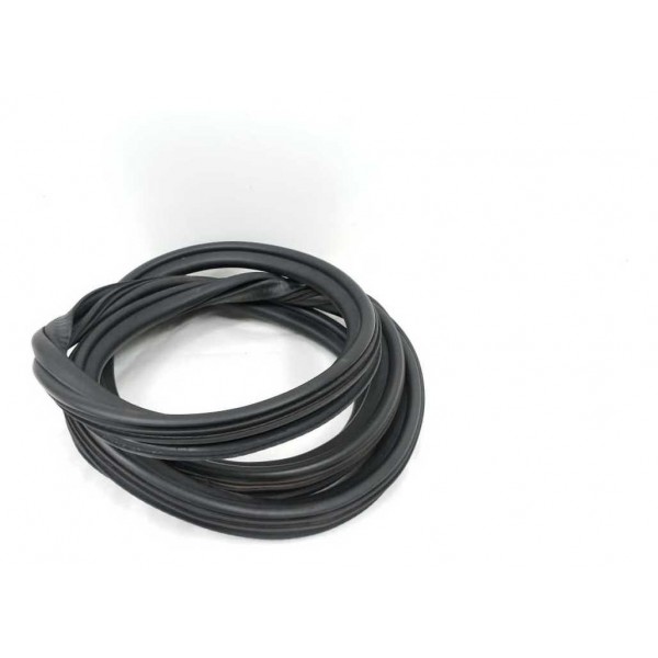 Borracha Porta Traseira Direita Audi A4 2011 