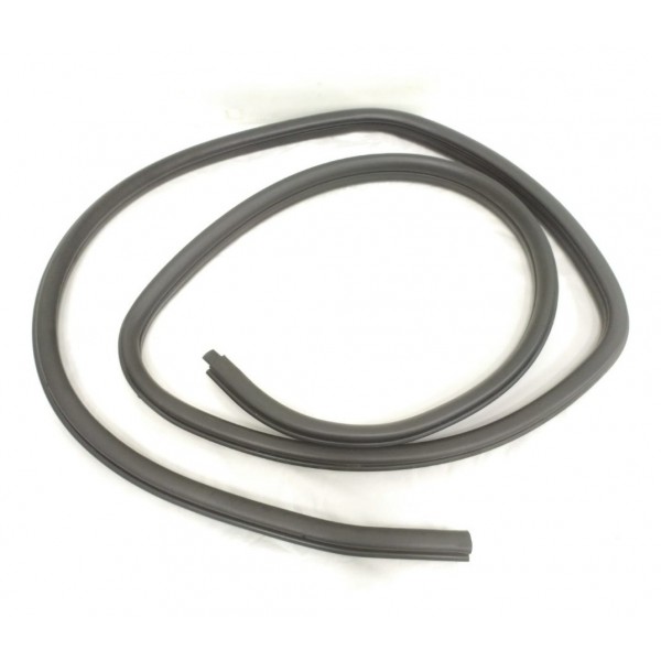 Borracha Porta Traseira Direita Bmw X1 2012