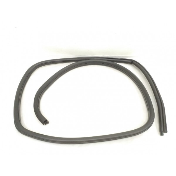 Borracha Porta Traseira Esquerda Bmw X1 2012