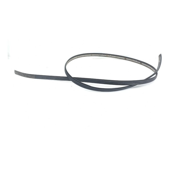 Friso Teto Lado Esquerdo Town Country 2008