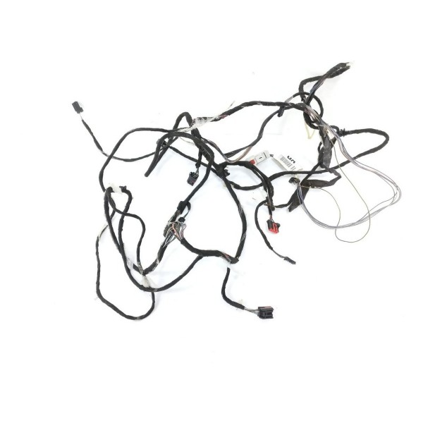 Chicote Forro Teto Ford Focus 2016