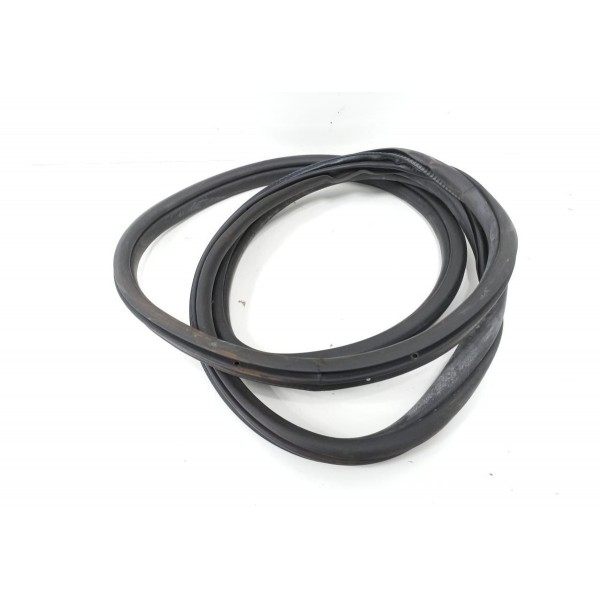 Borracha Porta Traseira Esquerda Bmw 320i 2015