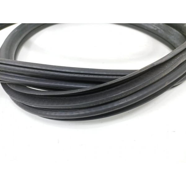 Borracha Porta Traseira Direita Bmw 320i 2015