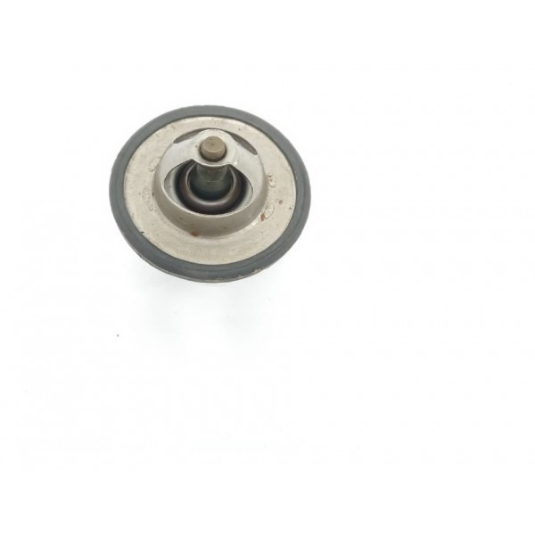 Válvula Termostática Peugeot Partner 2003