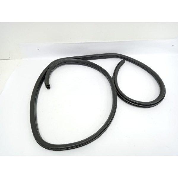 Borracha Porta Traseira Esquerda Bmw X1 2012