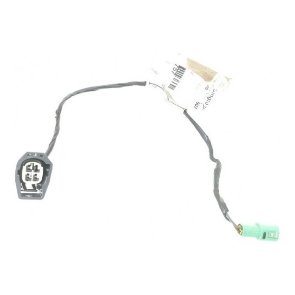 Chicote Porta Traseira Direita Ford Focus 2016