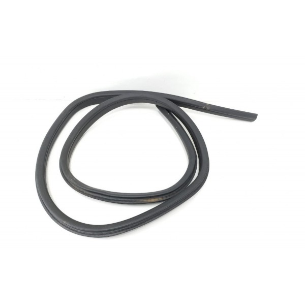 Borracha Vedação Porta Traseira Direita Ford Focus 2016