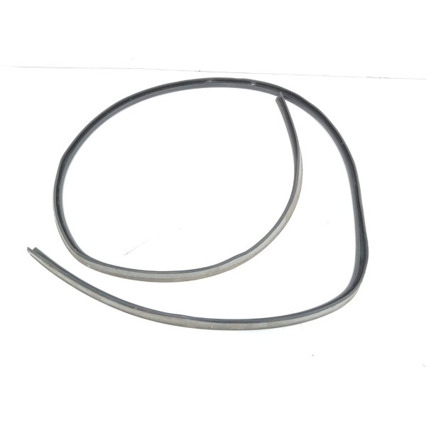 Borracha Direita Teto Picasso 2006