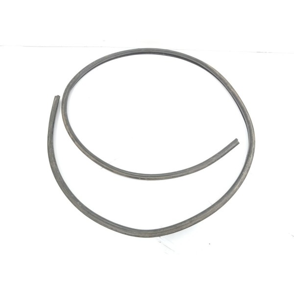 Borracha Esquerda Teto Picasso 2006