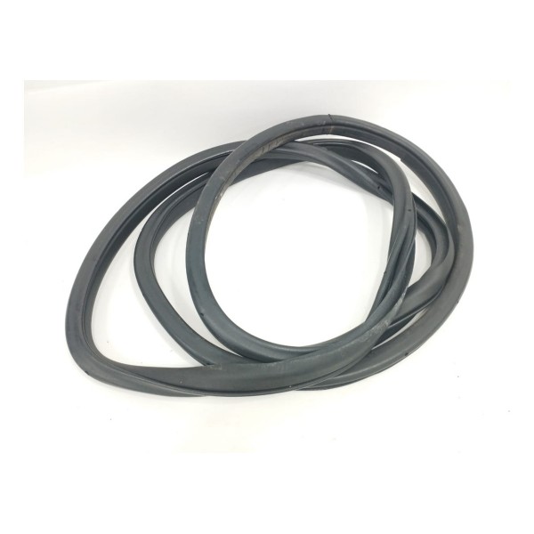 Borracha Porta Traseira Direita Nissan Sentra 2015