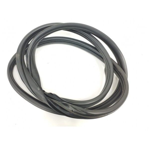 Borracha Porta Traseira Esquerda Honda Fit Lx 1.5 2018