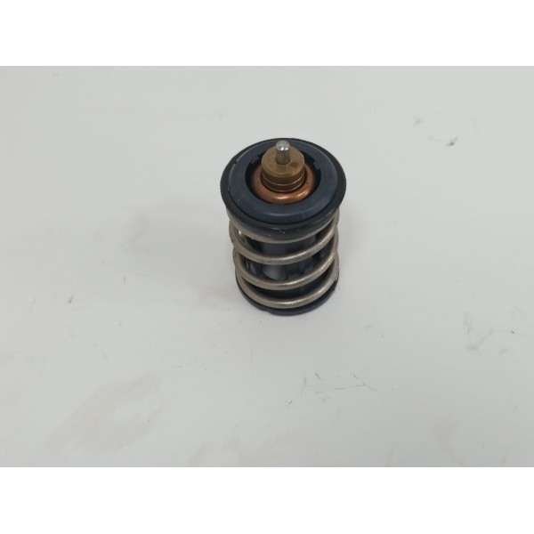 Válvula Termostática Vw T Cross Hl 2022