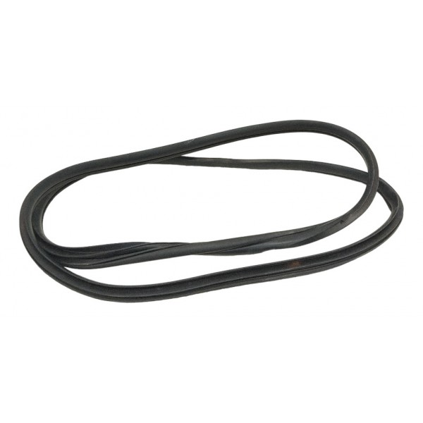 Borracha Porta Traseira Direita Hyundai Hb20 2019