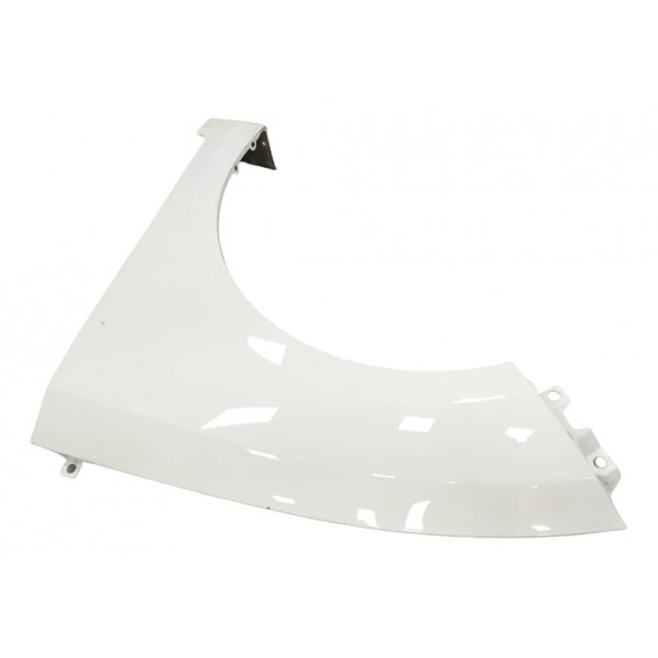 Paralama Esquerdo Hyundai Hb20 Hatch 2019