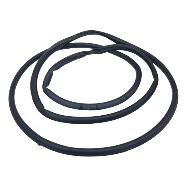 Borracha Vedação Bmw 320i 2018 Dianteiro Esquerdo Preto