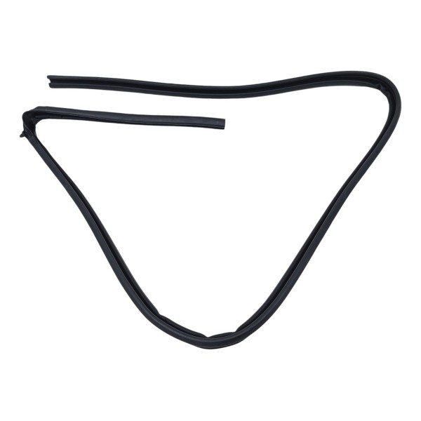 Borracha Teto Citroen C4 Cactus 2021 Direito