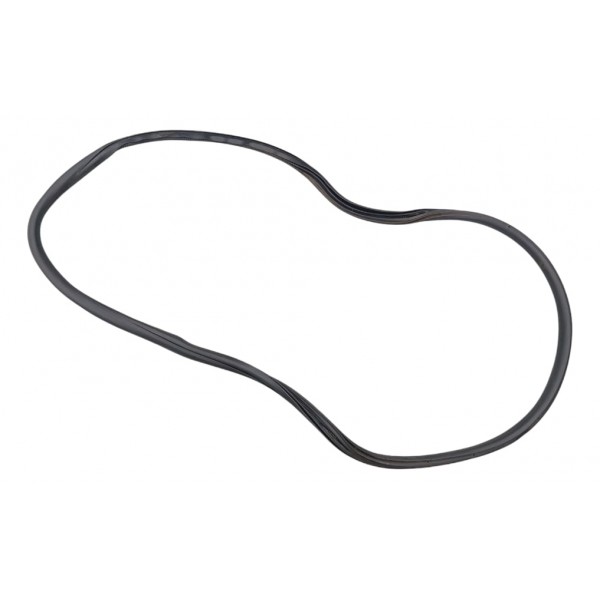 Borracha Vedação Porta Traseira Esquerda C4 Cactus 2023