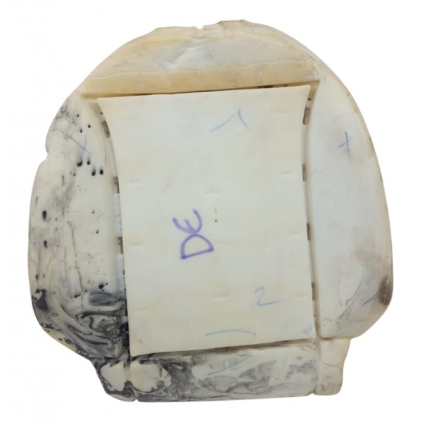 Espuma Encosto Banco Dianteiro Esquerdo C4 Cactus 2023 Bege