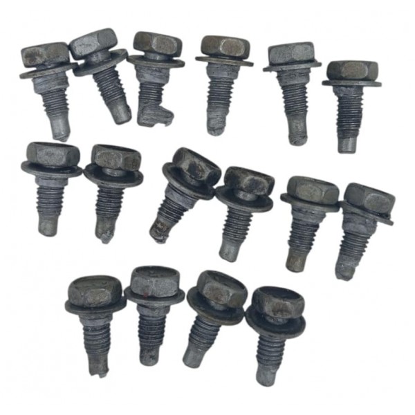 Jogo Parafuso Carter Óleo Nissan Sentra 2.0 2015