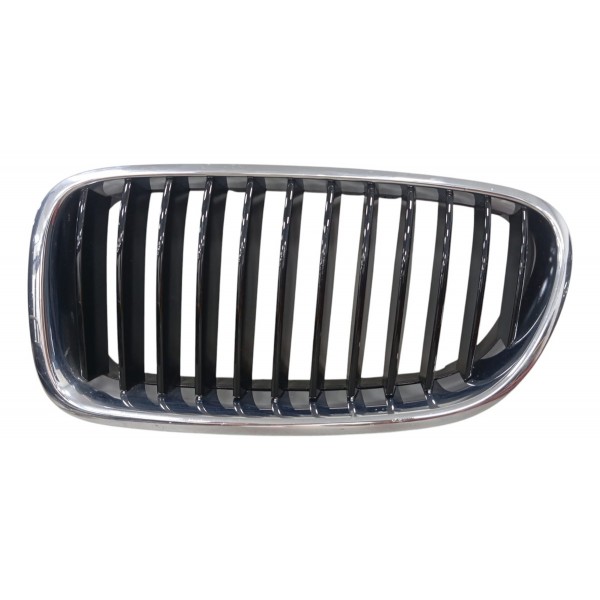 Grade Frontal Parachoque Bmw 530 2013 Esquerdo Vendedor4 Brilhante