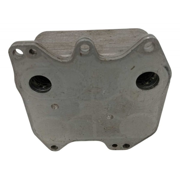 Resfriador Óleo Vw Passat Cc 2014 03h117021d