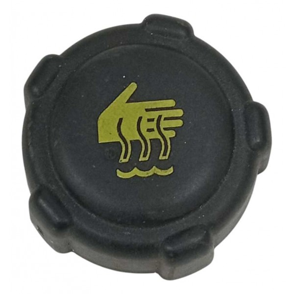 Tampa Reservatório Água Radiador Renault Sandero 2016