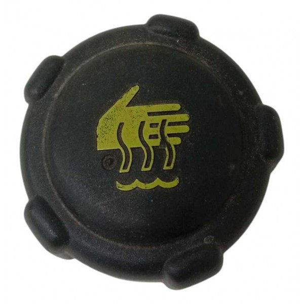 Tampa Reservatório Água Radiador Renault Duster 2020