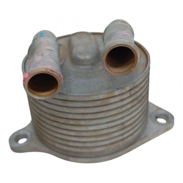 Trocador Calor Jeep Renegade 2020 2021