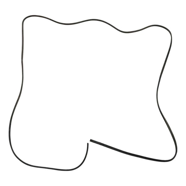 Borracha Teto Bmw X1 2014 2015