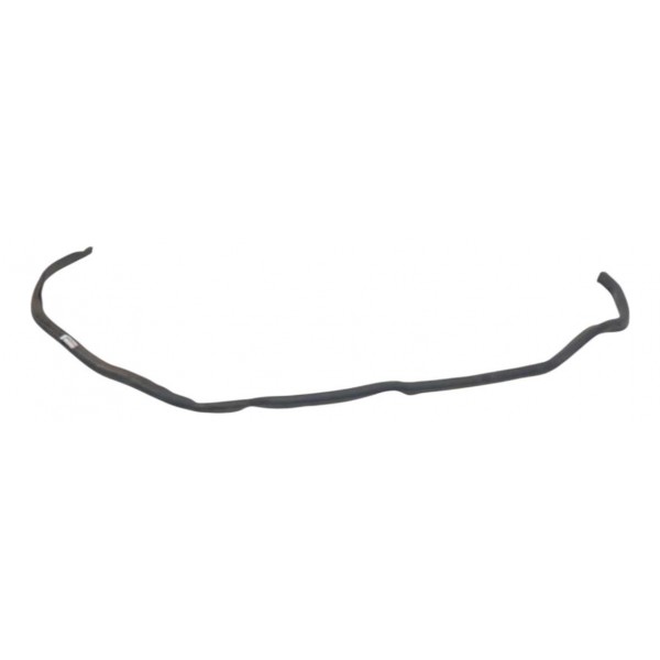 Borracha Churrasqueira Capô Bmw X1 2012