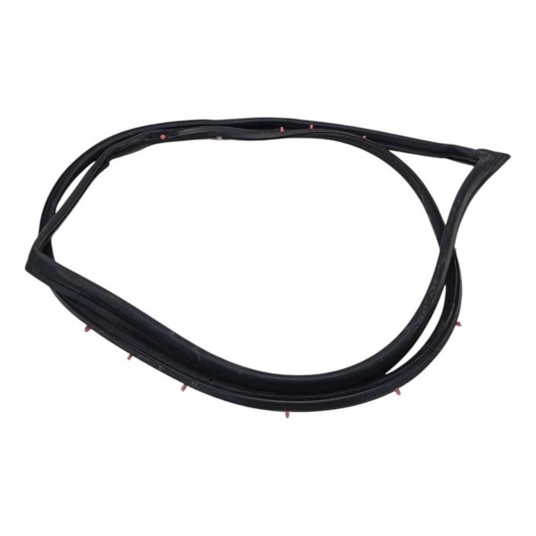 Borracha Porta Dianteira Esquerda Nissan Leaf 2020 2021 2022