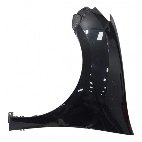 Paralama Esquerdo Renault Sandero 2015/18