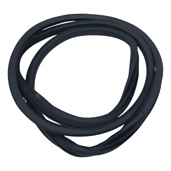 Borracha Porta Traseira Direita Nissan Leaf 2020 2021 2022