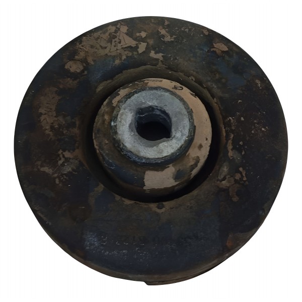 Coxim Renault Duster 2020 554908123r