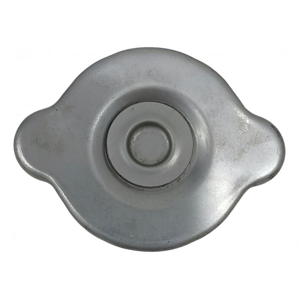 Tampa Reservatório Água Radiador Nissan Leaf 2020 2021 2022