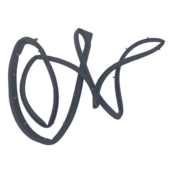 Borracha Vedação Porta Traseira Direita Nissan Versa 2020 Preto