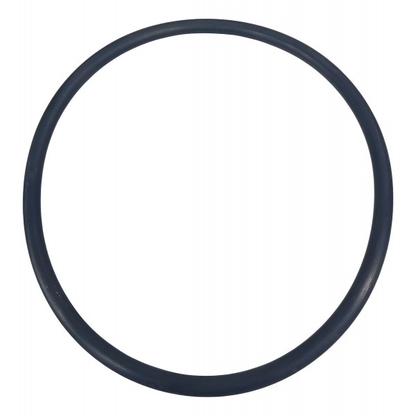 Borracha Vedaçao Bomba Combustivel  Gm Tracker 2020 Preto