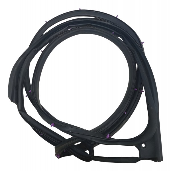 Borracha Vedaçao Porta Traseira Esquerda  Nissan Kicks 2022 Preto