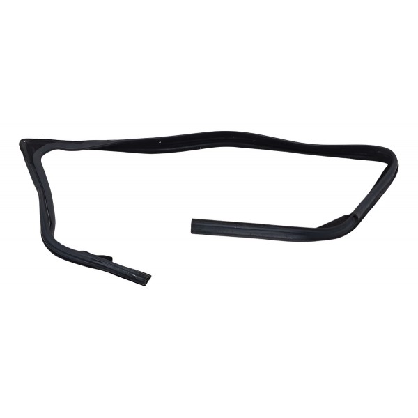 Borracha Guarniçao Porta Dianteira Esquerda Ford Ecosport 20