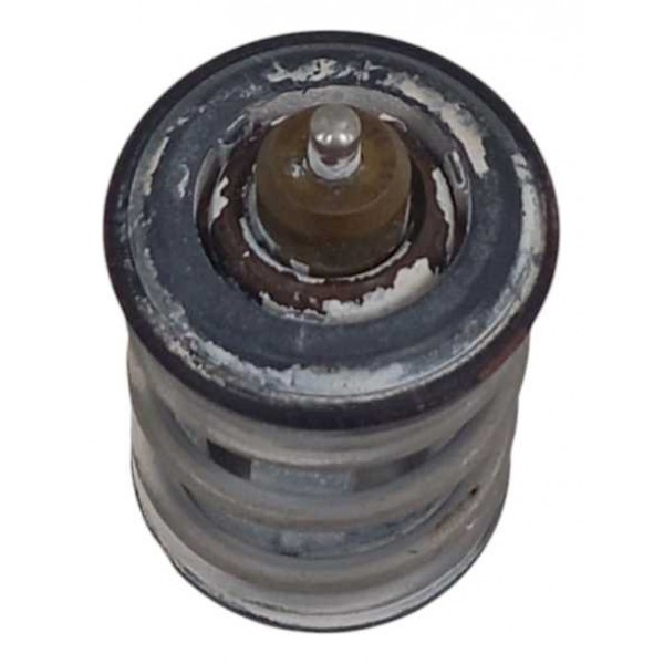 Válvula Termostática Vw Up 2017