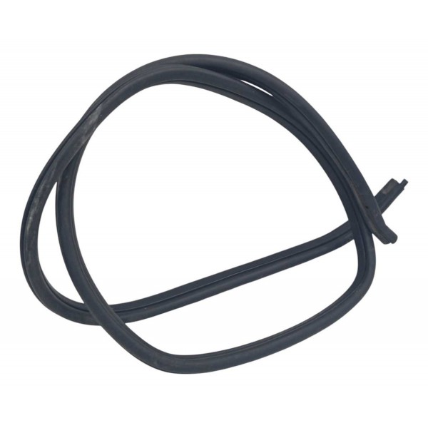 Borracha Porta Traseira Esquerda Bmw X1 2014 Preto