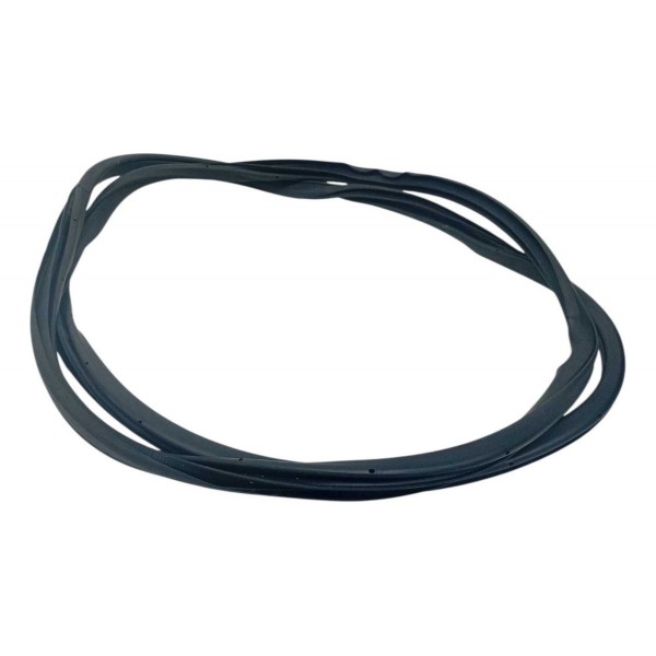 Borracha Porta Dianteira Esquerda Nissan Frontier 2022 Cinza