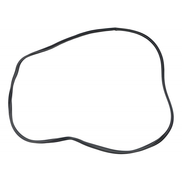 Borracha Porta Dianteira Direita Nissan Frontier 2022 Preto