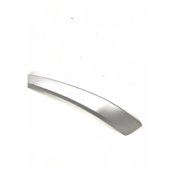 Friso Forro Porta Traseiro Esquerdo Bmw 320i 2008 Detalhe