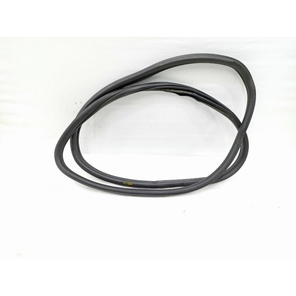 Borracha Porta Traseira Esquerda Bmw 320i 2014 2015         