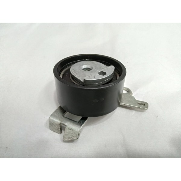 Polia Tensor Esticador Citroen Xsara Picasso 2004 Bt6006rsk