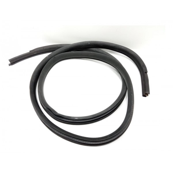 Borracha Porta Traseira Esquerda Ford Edge 2010